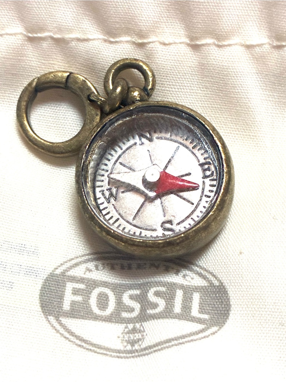 Fossil charm